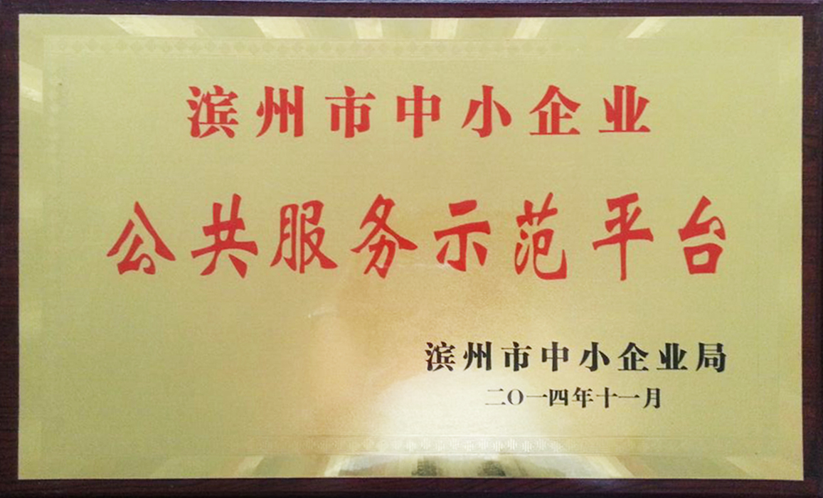 濱州市中小企業公共服務示范平臺